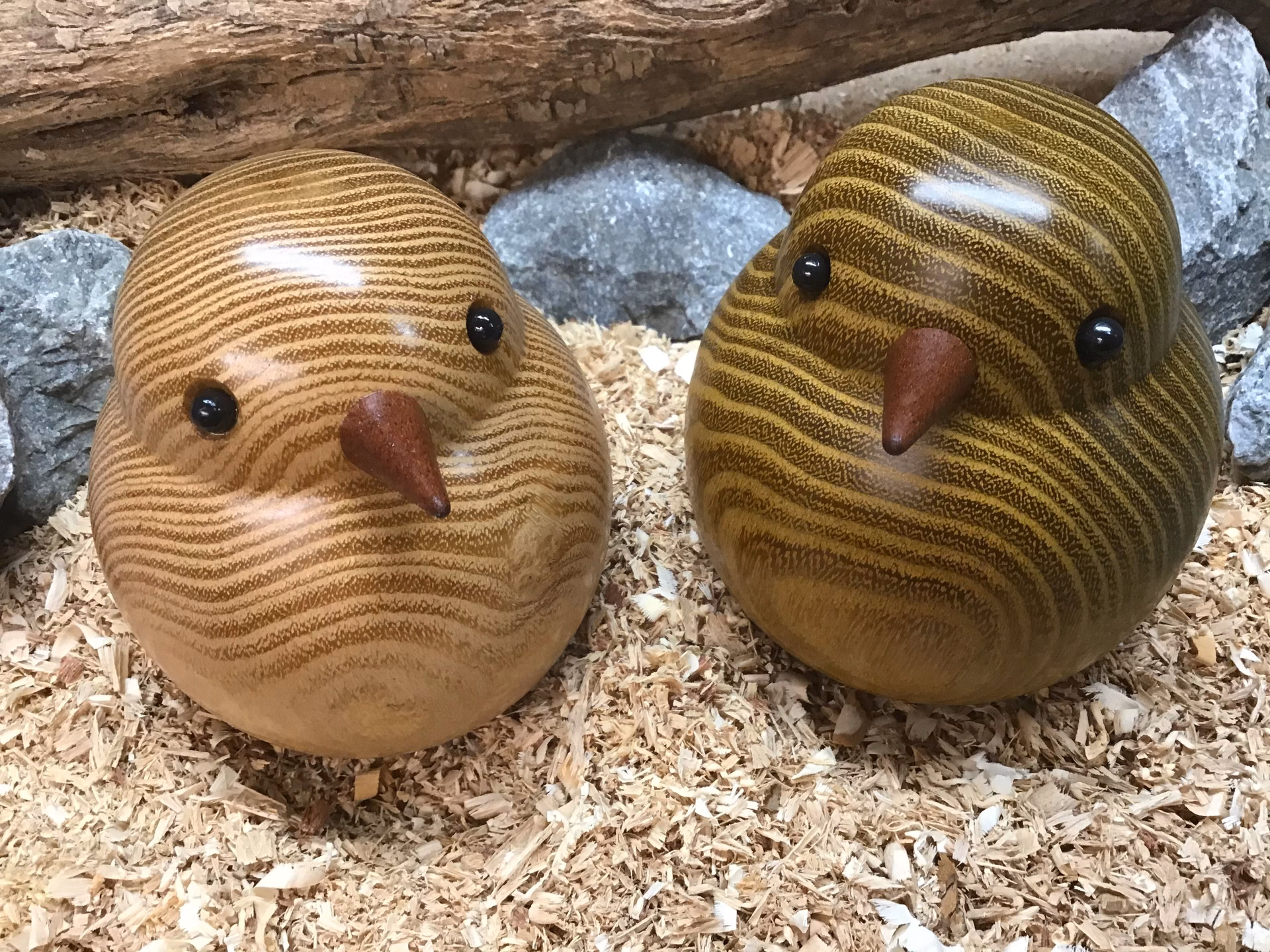 Hvor er vores fugle blevet af?