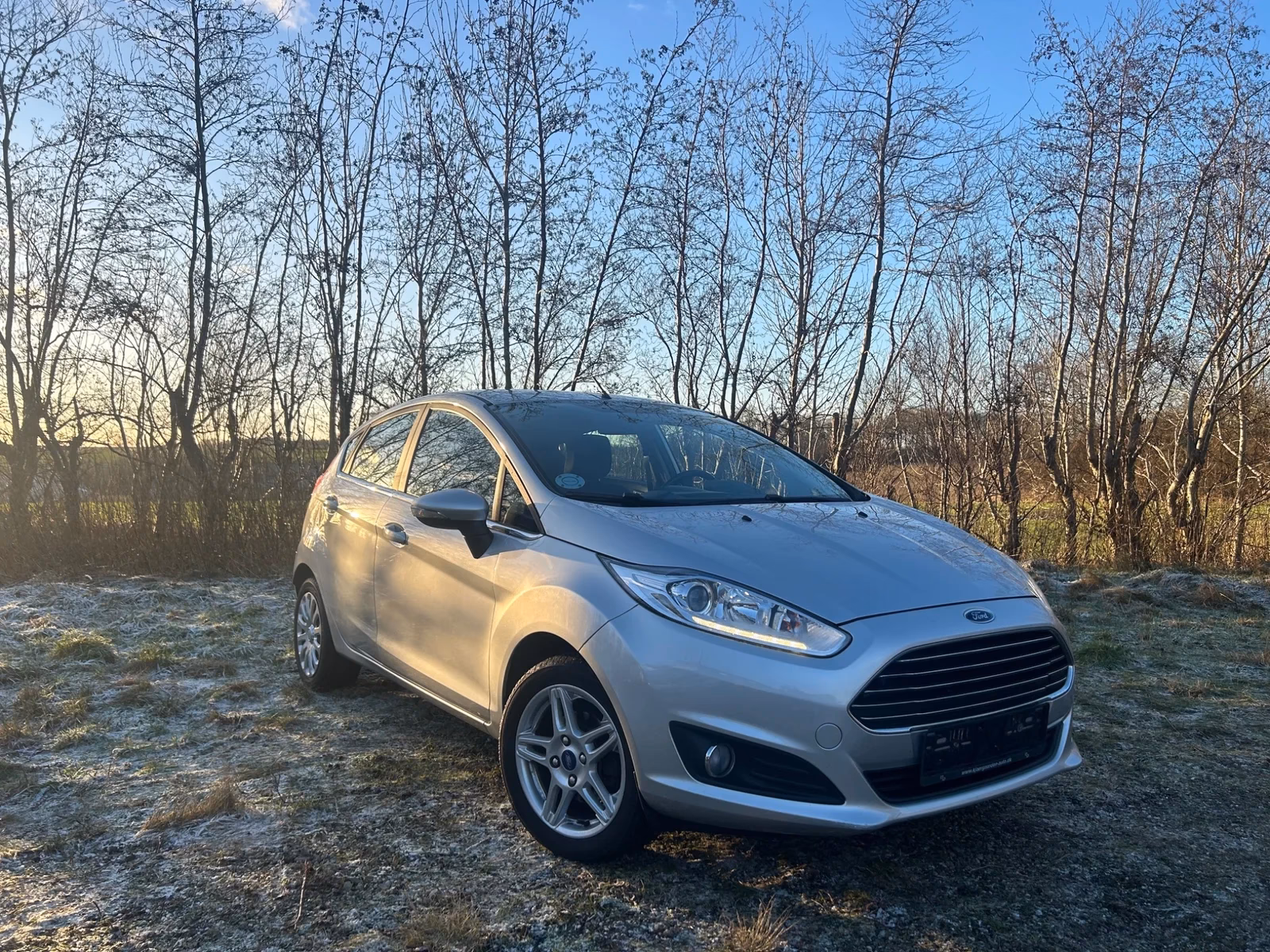 Hvor meget må en Ford Fiesta 1.0 trække?