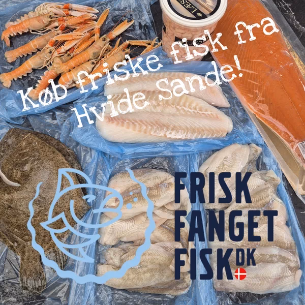 Hva koster 1 kg fersk torsk?