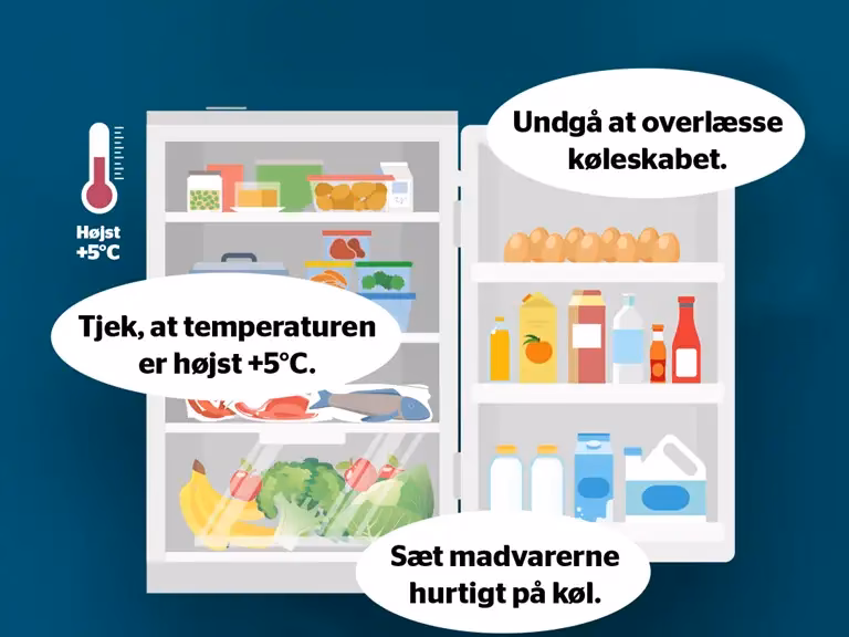 Hvad skal der være i køleskabet?